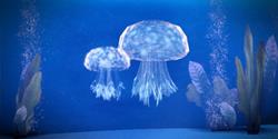 jellyfish_fish_collectables_250px