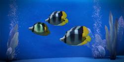 striped_fish_fish_collectables_250px